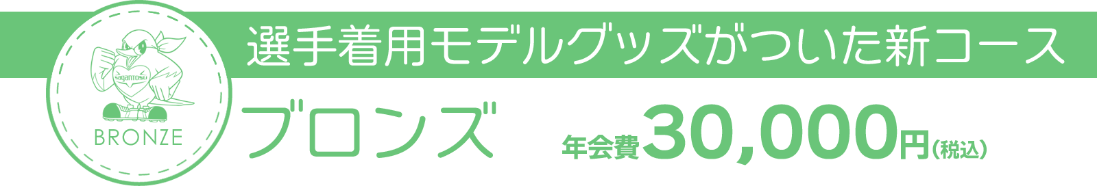 ブロンズコース 年会費 30,000円